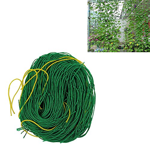 KINGLAKEÂ Durable Nylon Trellis Netting Garden Netting 59Ft x 118Ft for Climbing PlantsCucumbersFlowers VineVegetables