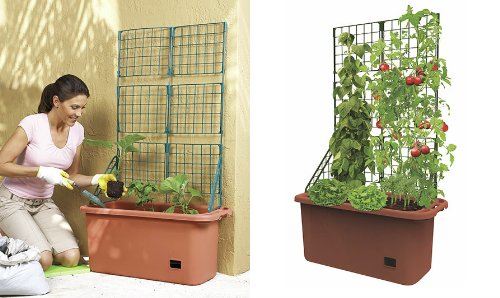 Mobile Garden Vegetable Patch Planter Potamp Trellis Climbing Vine Patio Tomato Veggies Herbs