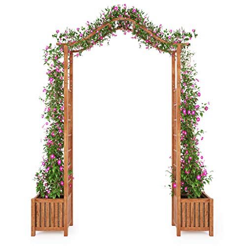 HELLOLAND Solid Acacia Wood Garden Arch Outdoor Patio Arbor Trellis with 2 Planters for Climbing Plants Garden Decoration 709x 157x 858