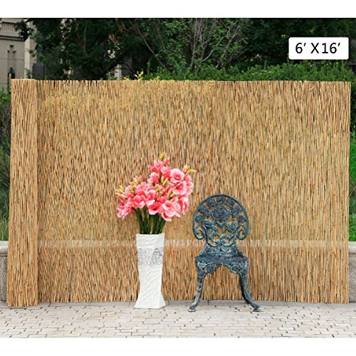 6X16 Reed Screening Garden Balcony Wind Protection Privacy Fencing Fence Panel