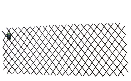 Master Garden Products Willow Expandable Trellis Fence 36 By 72-inch