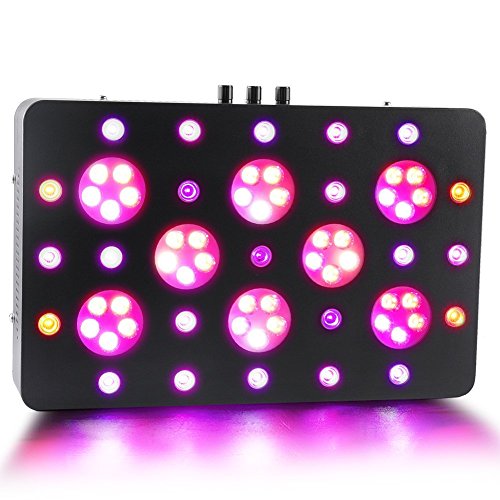 Global Star Led Grow Light 300w Real Power Led Plant Lights Full Spectrum For Indoor Plants Growing And Flowering