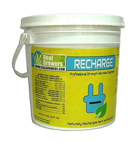 Real Growers Recharge Natural Plant Growth Stimulant 5 Pound