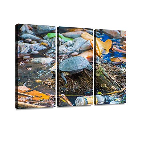 YKing1 Tortoise Surrounded by polluted Water Tortoises and Pictures Wall Art Painting Pictures Print On Canvas Stretched Framed Artworks Modern Hanging Posters Home Decor 3PANEL