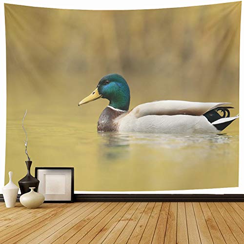 Ahawoso Tapestry Wall Hanging Tapestries 60x50 Inch Habitat Yellow in Beautiful Pond Male Mallard Floats Single Water Wildlife Colorful Animals Nature Tapestries Home Decor Living Room Bedroom Dorm