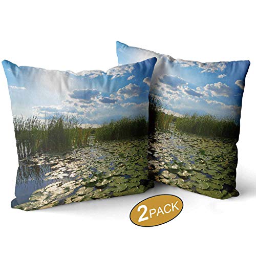 Nine City Beautiful Pond at DawnThrow Pillow Cushion Cover Set of 2 Cushion Couch Cover Pillow Covers 12 X 12