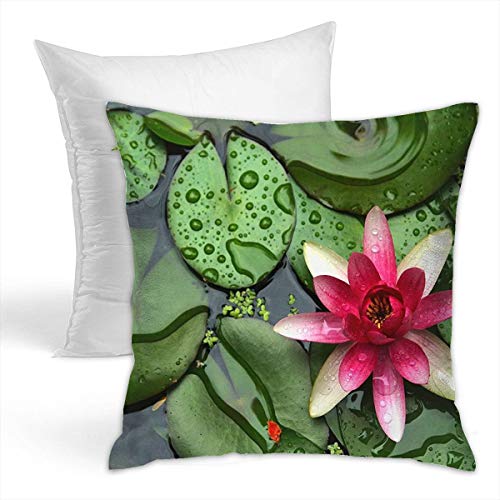 others Simple and Modern Double-Sided Pillowcase Including Pillow Core Invisible Zip- Beautiful Pond Water Lilly Kids Mum Sister