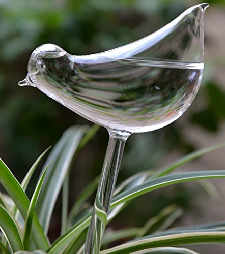 Self Watering Globes Hand-blown Mini Glass Automatic Plant Watering Bulbs Bird Decorative DesignSet of 3
