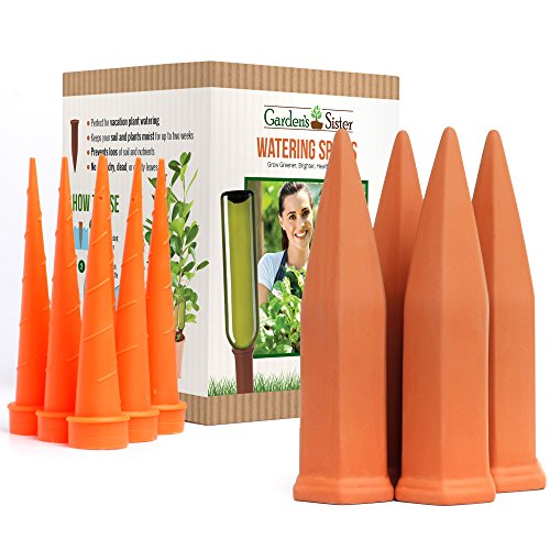 Terracotta Water Spikes For Plants - Set Of 4 Watering Stakes - 6 Bonus Plastic Watering Spikes