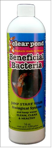 Clear Pond Beneficial Bacteria Liquid 16-ounce