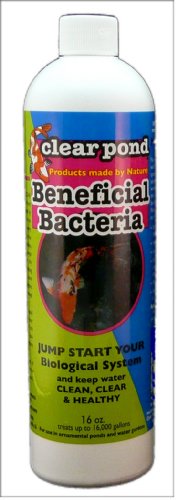 Clear Pond Beneficial Bacteria Liquid 16-ounce