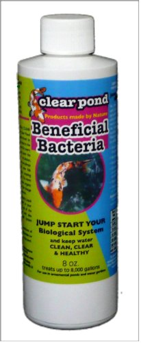 Clear Pond Beneficial Bacteria Liquid 8-Ounce