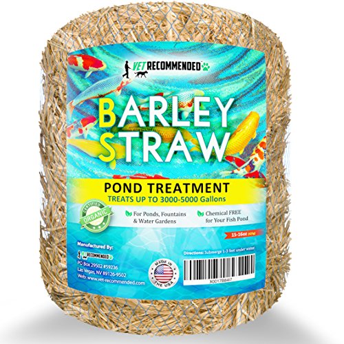 Vet Recommended - Barley Straw For Fish Ponds - Certified Organic - Safeamp Natural Pond Cleaner Made In Usa 16oz