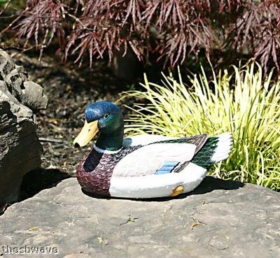 Large Male Floating Mallard Duck For Pool Or Pond