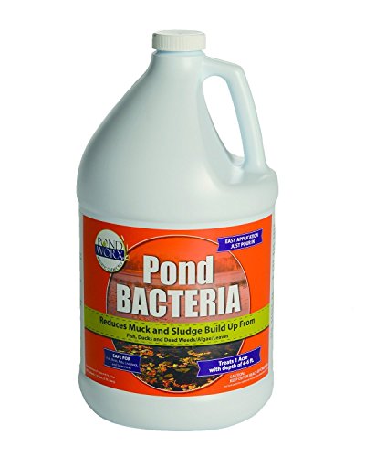Pondworx Pond Bacteria Formulated For Large Ponds, Water Features And Safe For Koi, 1 Gallon