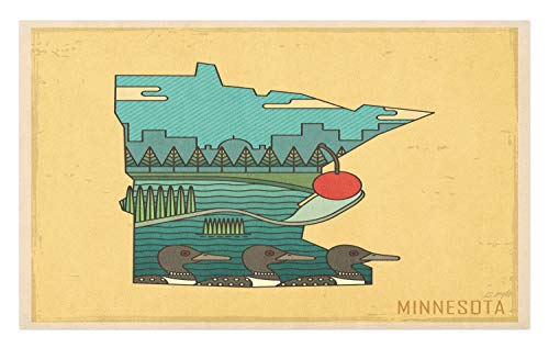 Ambesonne Minnesota Doormat Doodle Minnesota State Map Superimposed with Ducks in Pond and Buildings Scenery Decorative Polyester Floor Mat with Non-Skid Backing 30 X 18 Multicolor