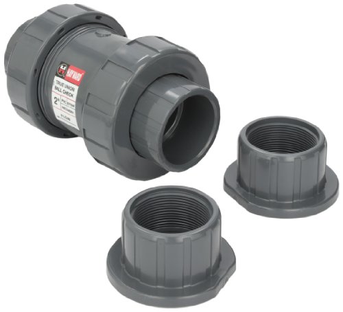 Hayward Tc10200ste 2-inch Pvc Tc Series True Union Check Valve With Epdm Seals And Socketthreaded End Connection