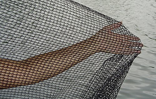 Deluxe Pond Netting  20 x 20