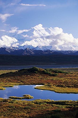 Imagekind Wall Art Print entitled Alaska Denali National Park Denali Tundra Pond by Design Pics  16 x 24