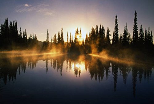 Imagekind Wall Art Print entitled Sunbeams Through Mist Over Pond by Design Pics  32 x 22