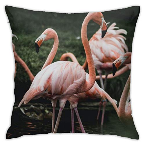 QLMY Flamingo in Pond Design Pattern Casual Home Decoration Sofa Fashion Hug Pillowcase Craft Set Pillowcase Square 18 X 18 Inches