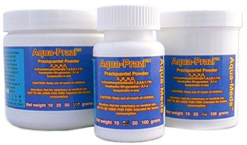 Aqua Prazi Koi Care Pond Treatment Fluke Parasite 25 Grams