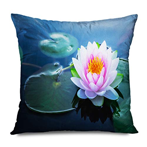 Ahawoso Throw Pillow Cover Square 18x18 Inches Blossom Float Pink Leaf Green Waterlily Flower Red Beauty Spring Pond Floral Nature Design Foliage Decorative Pillowcase Home Decor Cushion Case