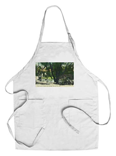 Boyes Hot Springs California - View of the Hot Springs Pond CottonPolyester Chefs Apron