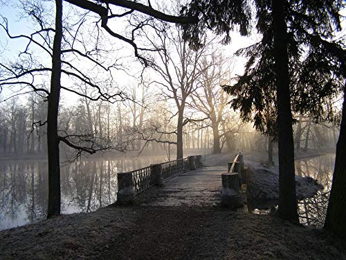 Home Comforts Park Morning Bridge Spring Pond Fog Vivid Imagery Laminated Poster Print 11 x 17