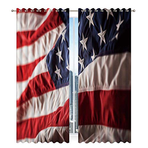 Hitecera USA National Flag Wrinkled Cloth Nylon Screen Curtain for Bed Living Room Curtains 63 x 45