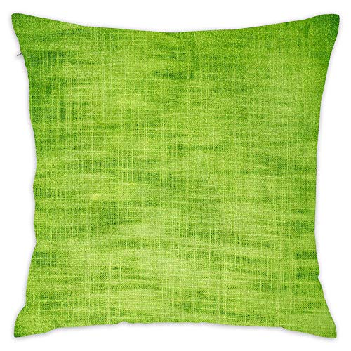 Materials Colors Fabric Wire Mesh Short Plush Soft Decorative Square Throw Pillow Cover Cushion Case Pillow Case for Sofa Bedroom Car 18x18 Inch