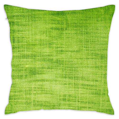 Unique Desgin Pillowcase Materials Colors Fabric Wire Mesh Soft Throw Pillow Cover 18 X 18 Inches Decorative Pillow Case for Bedding Sofa Chair Car Seat 18X18 Inch
