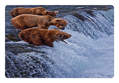 Ambesonne Africa Pet Mat for Food and Water Grizzly Bears Fishing in The River Waterfalls Cascade in Alaska Nature Camp View Rectangle Non-Slip Rubber Mat for Dogs and Cats Brown White
