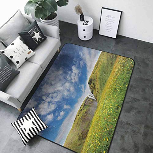 Floor Mat Entrance Doormat WaterfallWaterfall Cascade Landscape with Daisies in The Meadow Nature Themed Print Green Blue White 72 x 48 in Rugs for Sale
