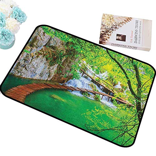 Joyl Pet Door Mat Waterfall Cascade Path Over The Lake by The Waterfall and Hills Mother Nature Theme Idyllic Breathability 16x24