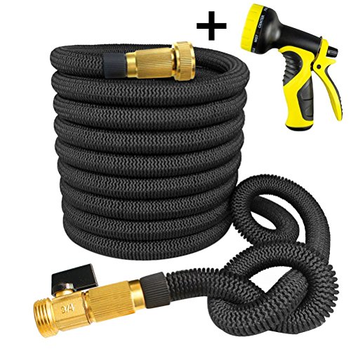 Daisy 50 Feet Black Strongest Expandable Garden Hose Lightweight With Shut Off Valve Solid Brass Connector And