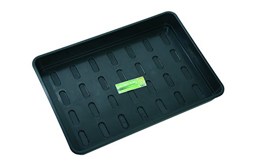 Tierra Garden Gp154b Garden Tray Without Holes X-large Black