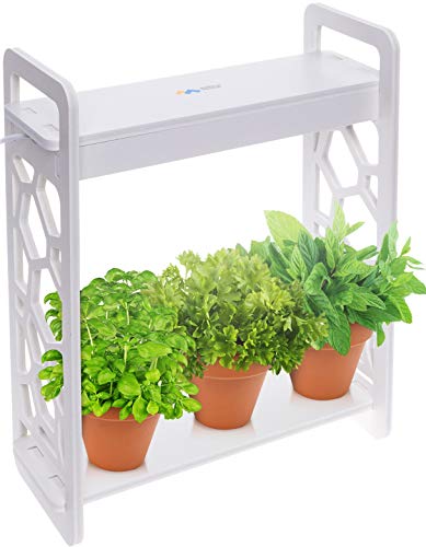 Mindful Design LED Indoor Herb Garden with Timer - at Home Mini Planter Kit for Herbs Succulents and Vegetables wHexagon Cutout White