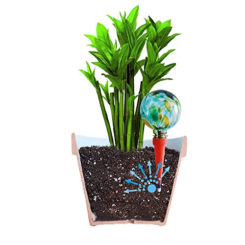 2 Large Plantpal Decorative Glass Watering Globes Plant Watering Stakes Aqua Spikes Automatic Plant Watering Practical Watering System that really works Great For House Plants Green Glass