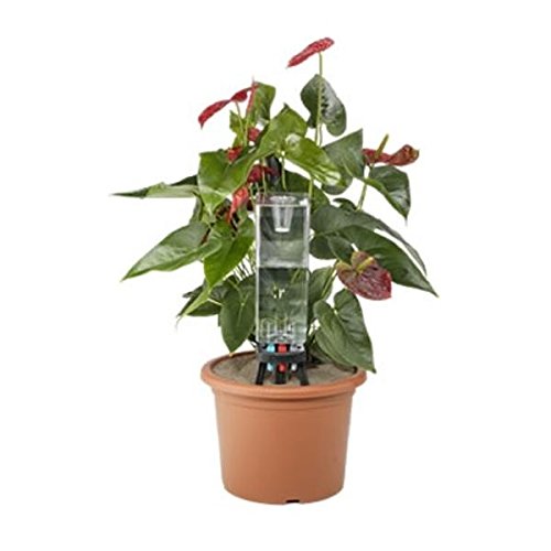 Claber 8057 Idris Potted Plants Watering System Kit