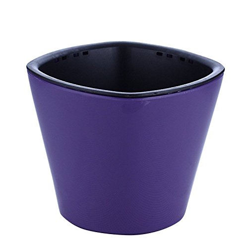 Gift Pro Automatic Watering System Self Watering Planters Pots Containers Probes for Decoration of Home Office Desk Garden Flower Shop Purple