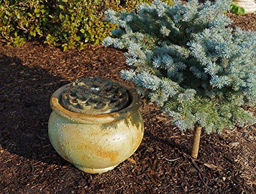 Henri Studio 2 Piece Dahlia Patio Bubbler Fountain Relic Nebbia