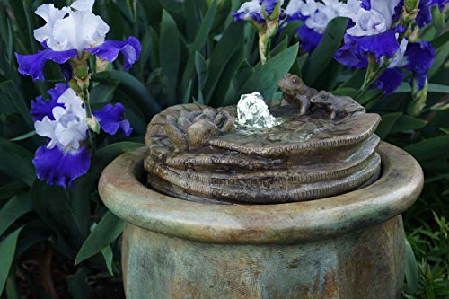 Henri Studio 2 Piece Frogs Patio Bubbler Fountain Relic Sargasso