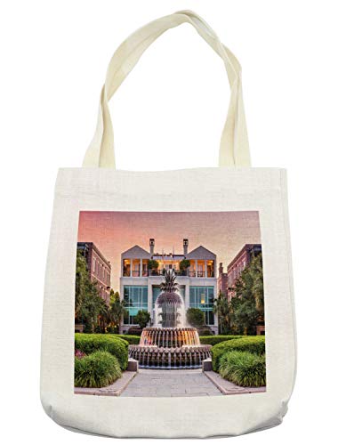 Ambesonne Charleston Tote Bag South Carolina USA the Waterfront Park Pineapple Fountain Urban Landscape Photo Cloth Linen Reusable Bag for Shopping Books Beach and More 165 X 14 Cream
