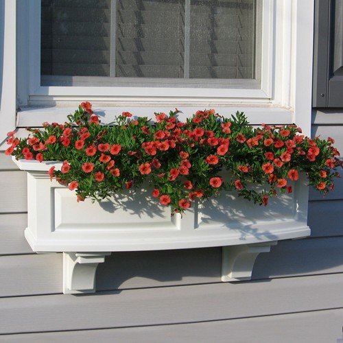 Mayne Nantucket 36 Window Box Combo with Corbel Brackets - White 3