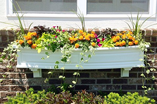 Mayne Nantucket 60 Window Box Combo with Corbel Brackets - White 5