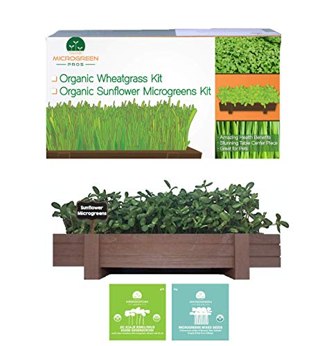 Organic Microgreens Growing Kit with Beautiful Wooden Countertop Planter Soil Organic Sunflower and Mixed Microgreens Seeds for 2 Crops 100 Guaranteed to Grow