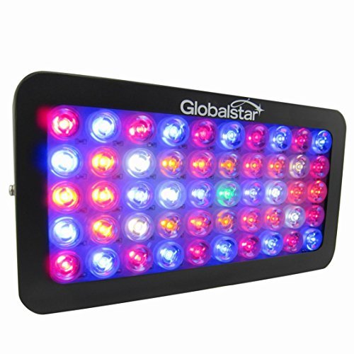 Global Star Led Grow Light 300w Full Spectrum Plant Grow Lamp For Indoor Greenhouse Garden Plants Veg And Flowering