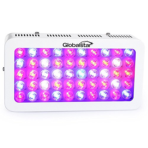 Global Star Led Grow Light Full Spectrum Indoor Grow Lights Led For Plants Veg Flowering Seedling 50x6w 300 Watt