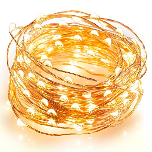 Ottertooth Outdoor LED String Lights 33ft DC12V Powered Weatherproof 100 LEDs Fairy Lights Copper Wire Starry String Lights for Christmas Tree Bedroom Party Decoration - Warm White